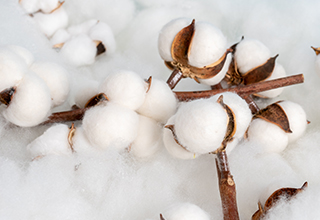 Predictable Costs and Reliable Delivery &ndash; Our Commitment.