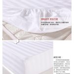 智利莫莱谷木翁特级珍藏红葡萄酒红酒