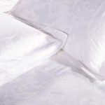 智利莫莱谷木翁特级珍藏红葡萄酒红酒