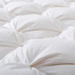 智利莫莱谷木翁特级珍藏红葡萄酒红酒